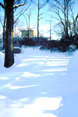 Driveway to the Rosedale House